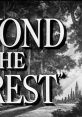 Beyond the Forest