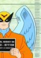 Harvey Birdman, Attorney at Law - Season 1 Harvey Birdman, Attorney at Law is a hilarious and irreverent animated