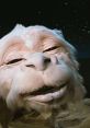 The NeverEnding Story (1984) The NeverEnding Story is a beloved fantasy film released in 1984. Directed by Wolfgang Petersen,