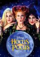 Hocus Pocus (1993) Hocus Pocus is a beloved cult classic film released in 1993. Directed by Kenny Ortega and written by