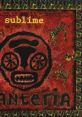 Sublime - Santeria "Santeria" is a famous song by the American band Sublime, released in 1997. Comprised of lead vocalist and