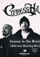 Cypress Hill - Insane In The Brain (Official Video) "Cypress Hill - Insane In The Brain" is a popular hip-hop song released