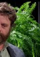 Between Two Ferns with Zach Galifianakis: Bradley Cooper "Between Two Ferns with Zach Galifianakis: Bradley Cooper" is a