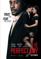 The Perfect Guy (2015) "The Perfect Guy" is a suspenseful thriller film released in 2015. Starring Sanaa Lathan, Michael