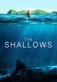 The Shallows (2016)