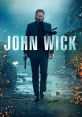 John Wick (2014) Thriller John Wick (2014) is an adrenaline-fueled action thriller film directed by Chad Stahelski.