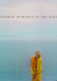Andrew McMahon in the Wilderness - Cecilia And The Satellite (Toy Version)