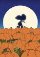 It's the Great Pumpkin Charlie Brown (1966)