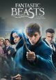 Fantastic Beasts and Where to Find Them (2016) Fantastic Beasts and Where to Find Them is a 2016 fantasy film, set in the