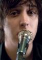 The Strokes - Reptilia "The Strokes - Reptilia" is a sensational rock song released by the American rock band, The Strokes.