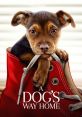 A Dog's Way Home "A Dog's Way Home" is a heartwarming movie released in 2019, directed by Charles Martin Smith. It follows