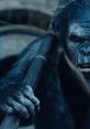 Dawn of the Planet of the Apes Trailer