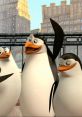The Penguins of Madagascar Trailer