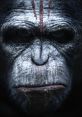 Dawn of The Planet of The Apes Teaser "Dawn of The Planet of The Apes Teaser" is a thrilling movie released in 2014 that