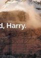 "You're A Wizard, Harry." "You're A Wizard, Harry" is a famous line from the beloved series of books and movies called