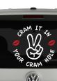 Cram It Up Your Cram Hole "Cram It Up Your Cram Hole" is a punk rock anthem that was released in 2005 by the band The Cram