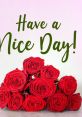 Toolhave A Nice Day Shre "Have A Nice Day" is a popular song by the American rock band Bon Jovi. The song was released in