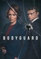 Bodyguard Bodyguard and effects to download and play.