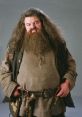 Hagrid Hagrid and effects to download and play.