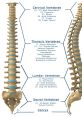 Spinal Spinal and effects to download and play.