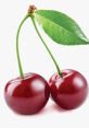 Cherry Cherry and effects to download and play.