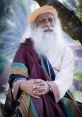 Sadhguru Sadhguru and effects to download and play.