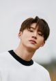 Hanbin Hanbin and effects to download and play.