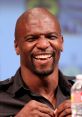 Terry Crews Terry crews and effects to download and play.