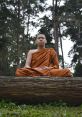 Buddhist Buddhist and effects to download and play.