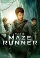 Mazerunners Mazerunners and effects to download and play.