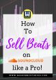 Sells Beats Sells beats and effects to download and play.