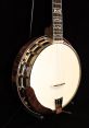 Banjo Banjo and effects to download and play.