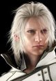 Ravus Ravus and effects to download and play.