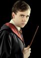 Neville Longbottom Neville longbottom and effects to download and play.