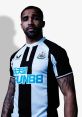 Nufc Nufc and effects to download and play.