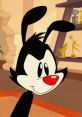 Yakko Yakko and effects to download and play.