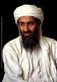 Osama Osama and effects to download and play.