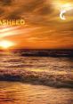 Nashed Nashed and effects to download and play.