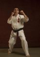 Karate Karate and effects to download and play.