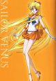 Sailor Venus Sailor venus and effects to download and play.