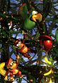 Donkey Kong Country 2 Donkey kong country 2 and effects to download and play.