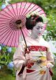 Maiko Maiko and effects to download and play.