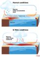 El Nino El nino and effects to download and play.