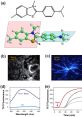 ThT fluorescence analysis: molecular structure, fibril interaction, wavelength response, and time-dependent changes.