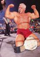 Scott Steiner If you're a fan of professional wrestling, chances are you've heard the iconic catchphrase "Steiner Kick