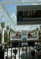 La Mall The of La Mall are swirling around me, a cacophony of voices and blending together in a chaotic symphony. As I