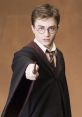 Cependant Harry Potter If you're a die-hard Harry Potter fan, then you must be familiar with the iconic of the Harry Potter