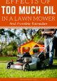 Lawnmower Effect The of a lawnmower starting up is one that is instantly recognizable to most people. It's the familiar