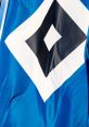 Hsv HSV is a football club in Germany that is known for its passionate fans and rich history. One can hear the excitement