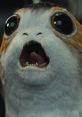 Porg The distinctive of the adorable creatures known as Porgs can be heard echoing through the cliffs of Ahch-To. The of